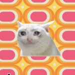 ばけねこ
