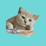 いえねこ